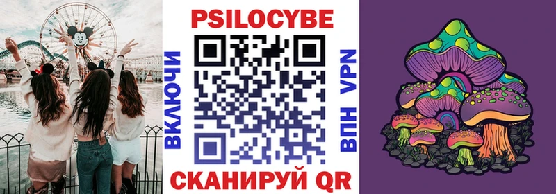 сколько стоит  Выборг  Галлюциногенные грибы Psilocybine cubensis 